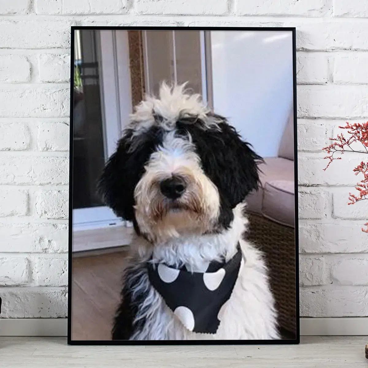 foto de perro para ver el antes y el despues de la ilustracion personalizada